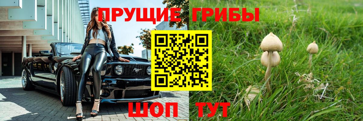 Псилоцибиновые грибы прущие грибы  Вход с VPN  Псилоцибиновые грибы Cubensis  Пенза 